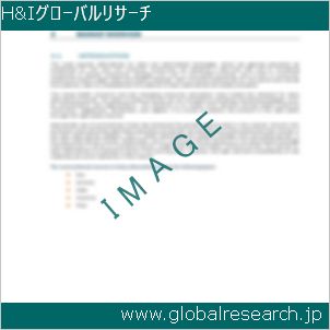 グローバルリサーチ調査レポートのイメージ